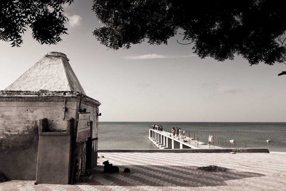 Beach/Ocean View