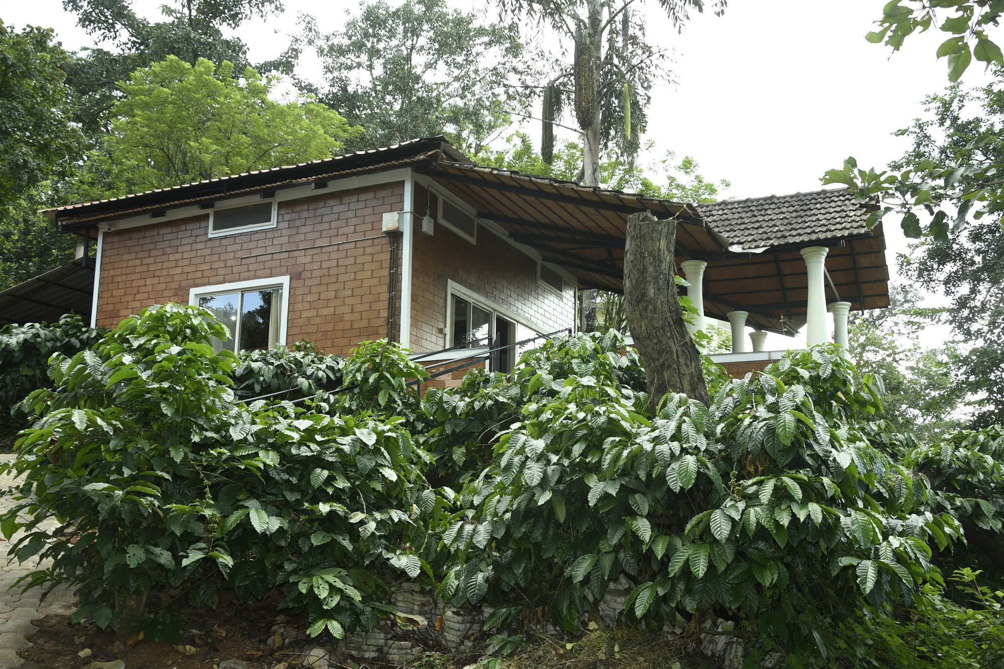 Hotel Eagle Eye Resort