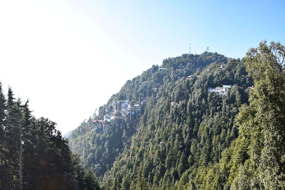 undefined HOTEL PRESIDENT -PURE VEGETARIAN DALHOUSIE (Centrally Heated & Air Conditioned) 2