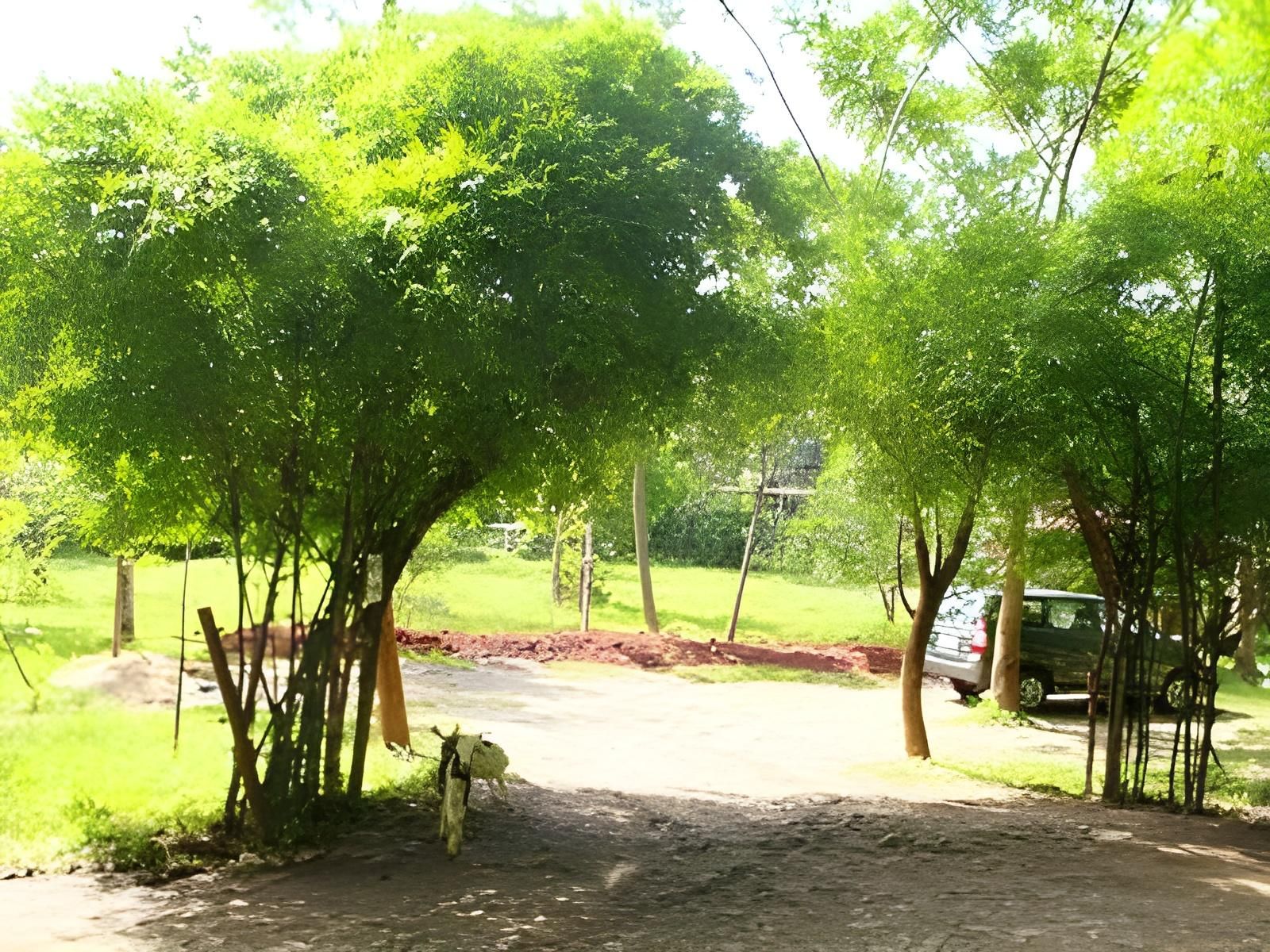 surrounding environment