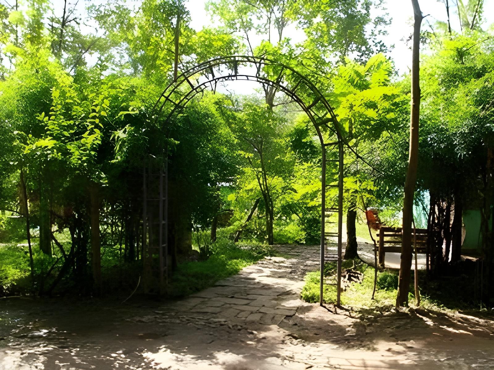 surrounding environment