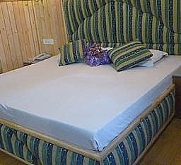 Hotel Chaman Palace Semi Deluxe Room 8