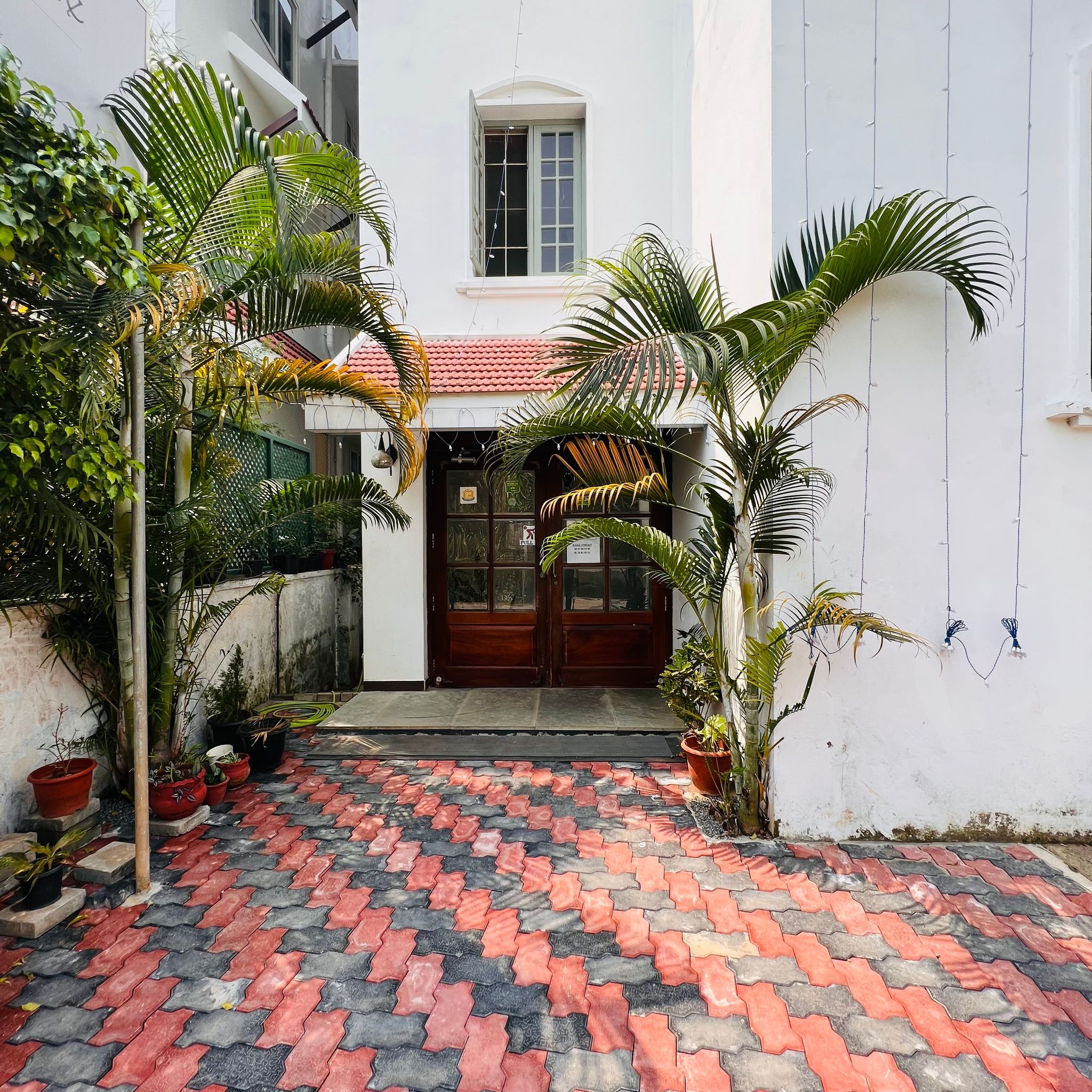 undefined Pepper Route 4