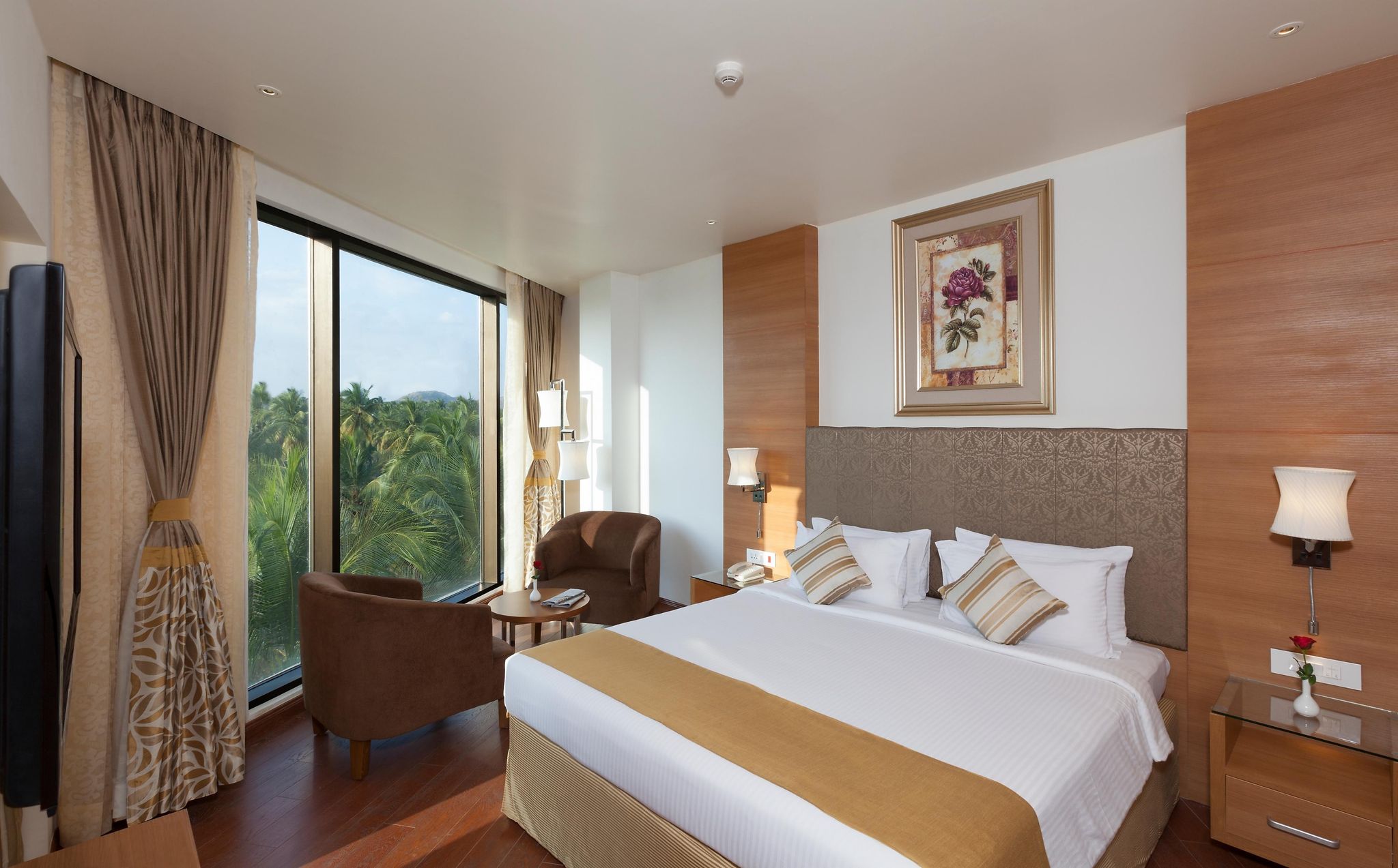 image_382290_70ff08e0-ef6f-48c6-a334-8ea72ceadc95