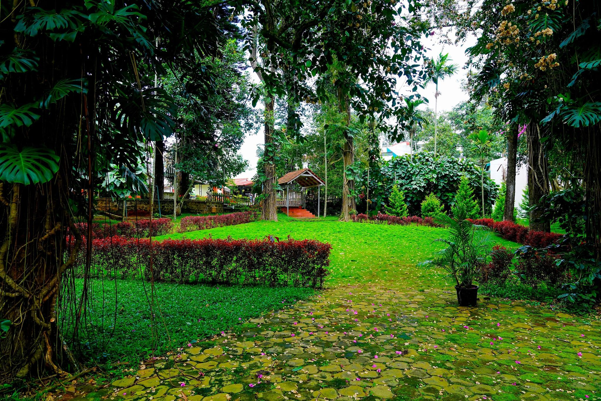 undefined Hotel Shevaroys 10