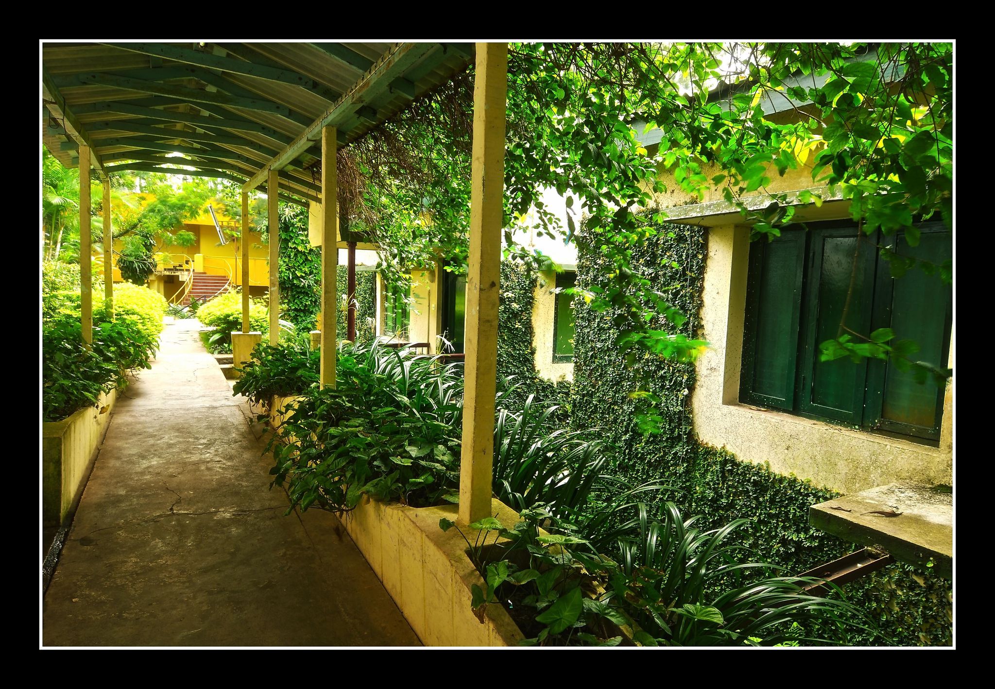 undefined Hotel Shevaroys 7