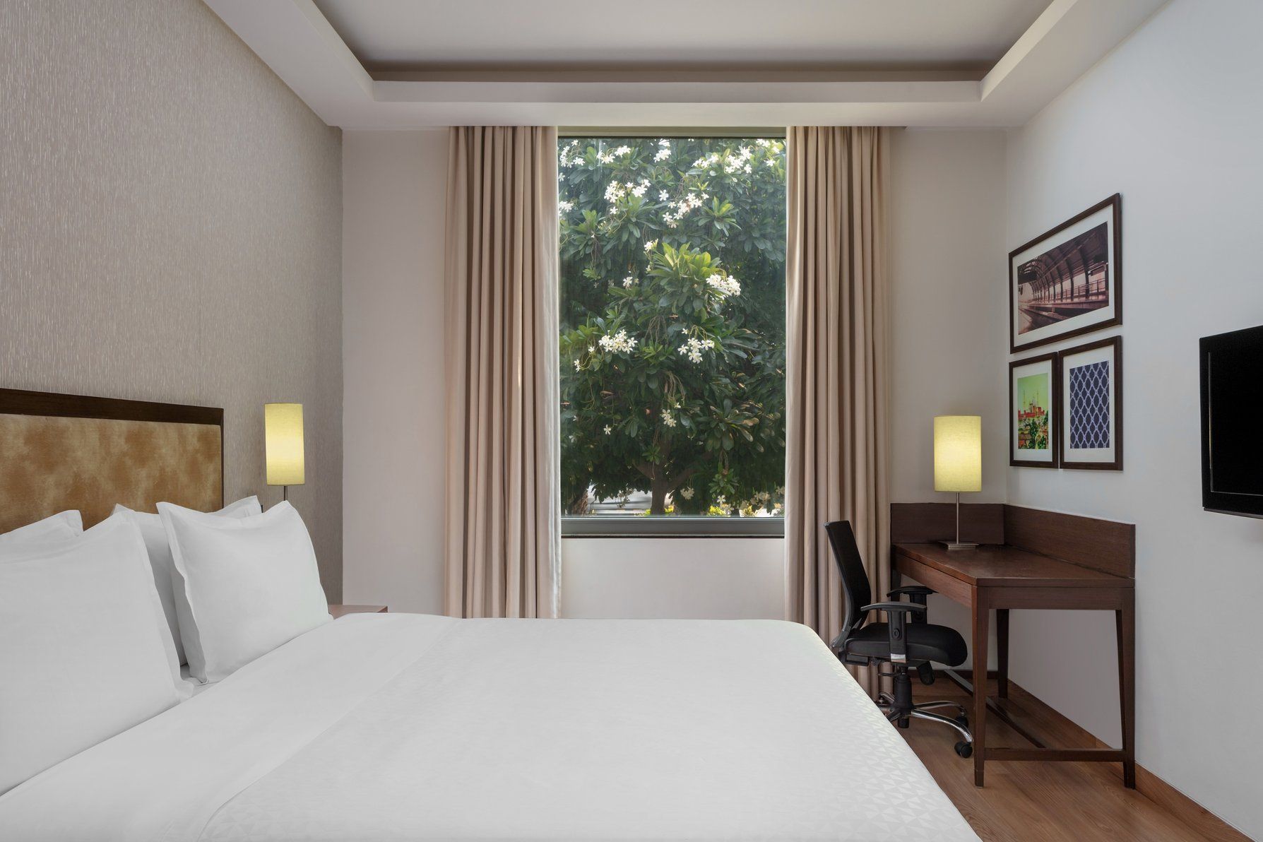 Executive, Suite, 1 King