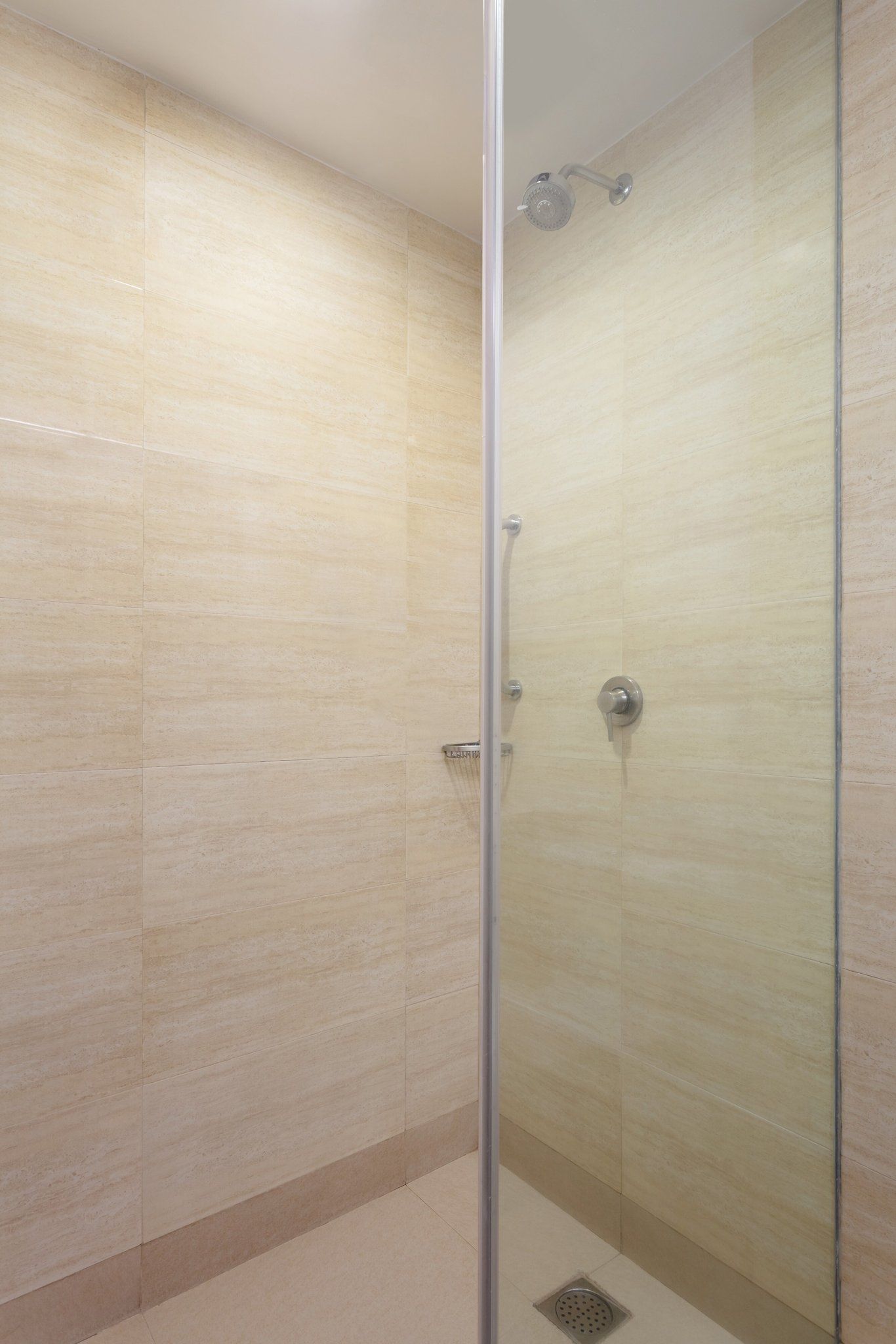 Guest Bathroom - Walk-In Shower
