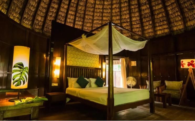 undefined Barefoot at Havelock 5