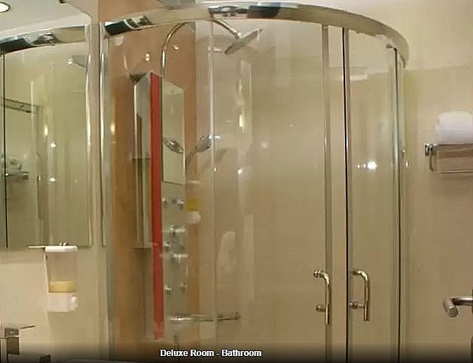 Hotel Meridian Plaza Deluxe Room 4