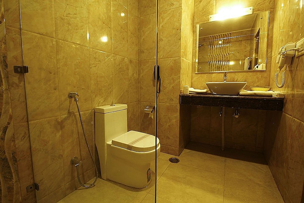 Welcome Hotel Dal Lake Deluxe Room 11