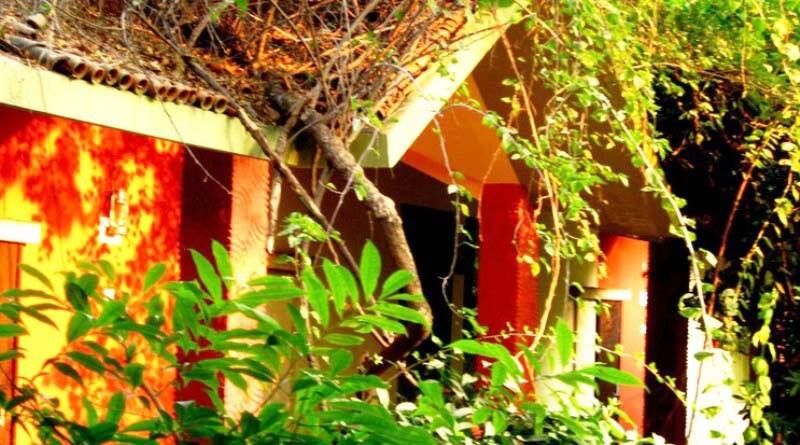 undefined Mark & Meadows - Santiniketan 10