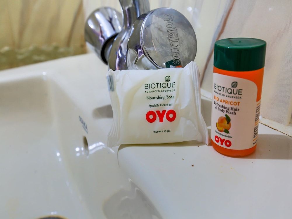 OYO 5101 Hotel Char Chinar Double or Twin Room 12