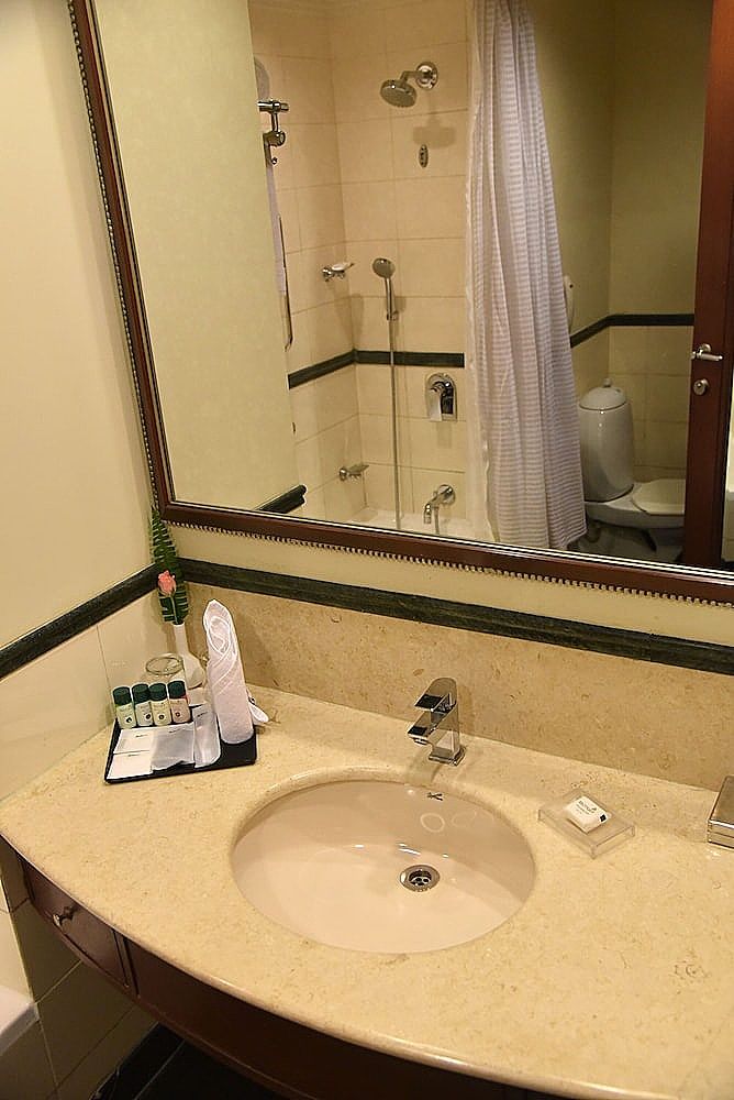 undefined Radisson Hotel Varanasi 8