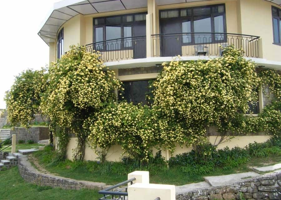 undefined Udechee Huts