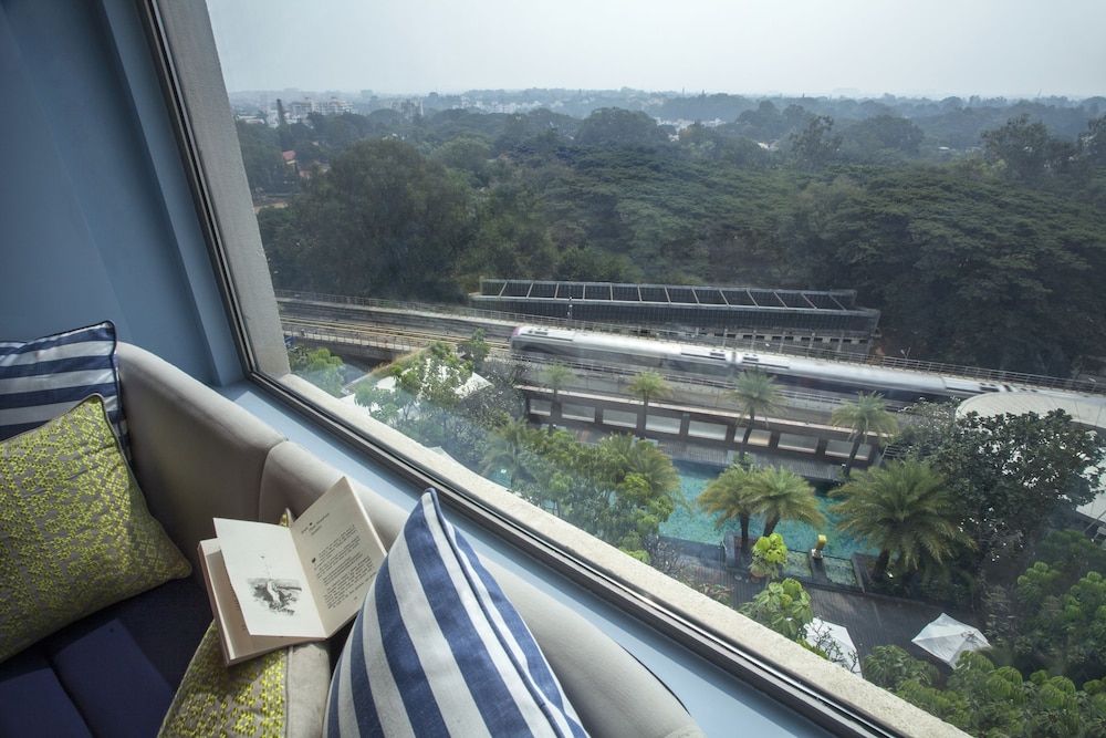 1 King Bed, View