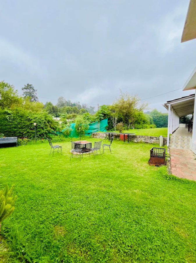 undefined Bouganvilla 4