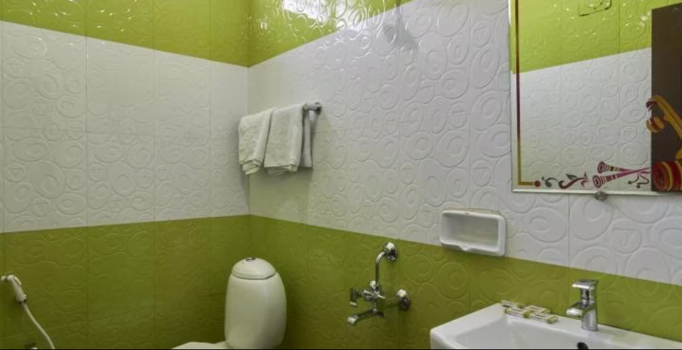 Hotel Green Park Deluxe Room 12