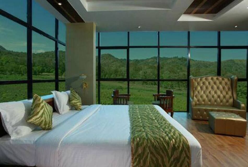 AC Presidential Jungle View