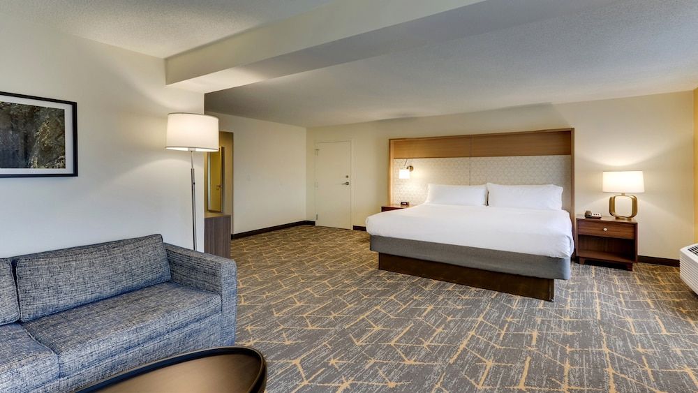 Room, 1 King Bed, Accessible, Balcony (Communications)