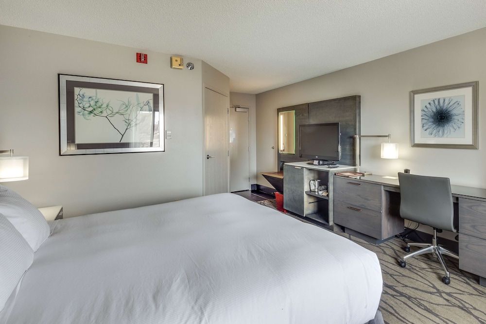 Room, 1 King Bed, Accessible, Non Smoking (w/ roll-in shower)