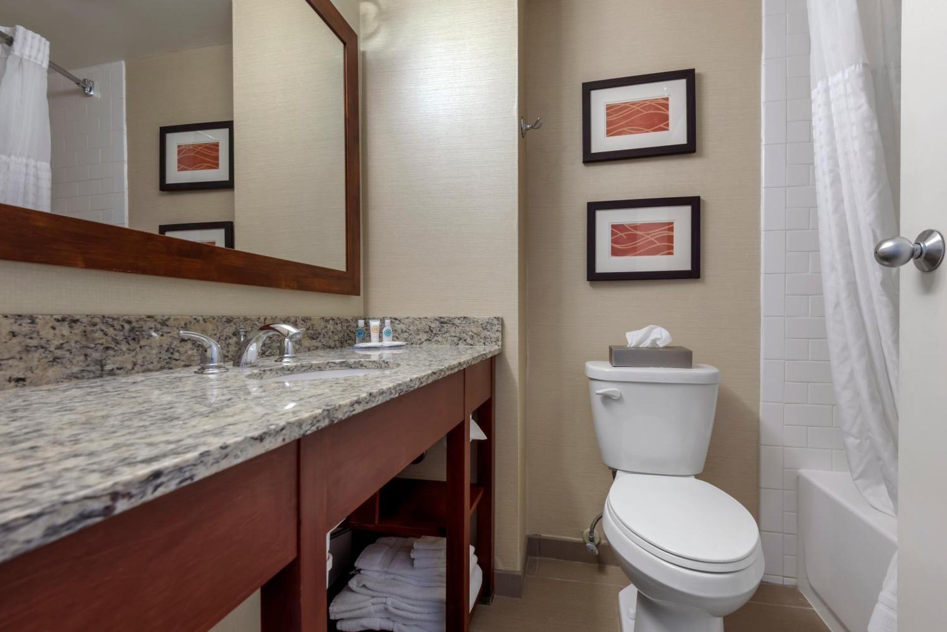 undefined Comfort Inn The Pointe 10