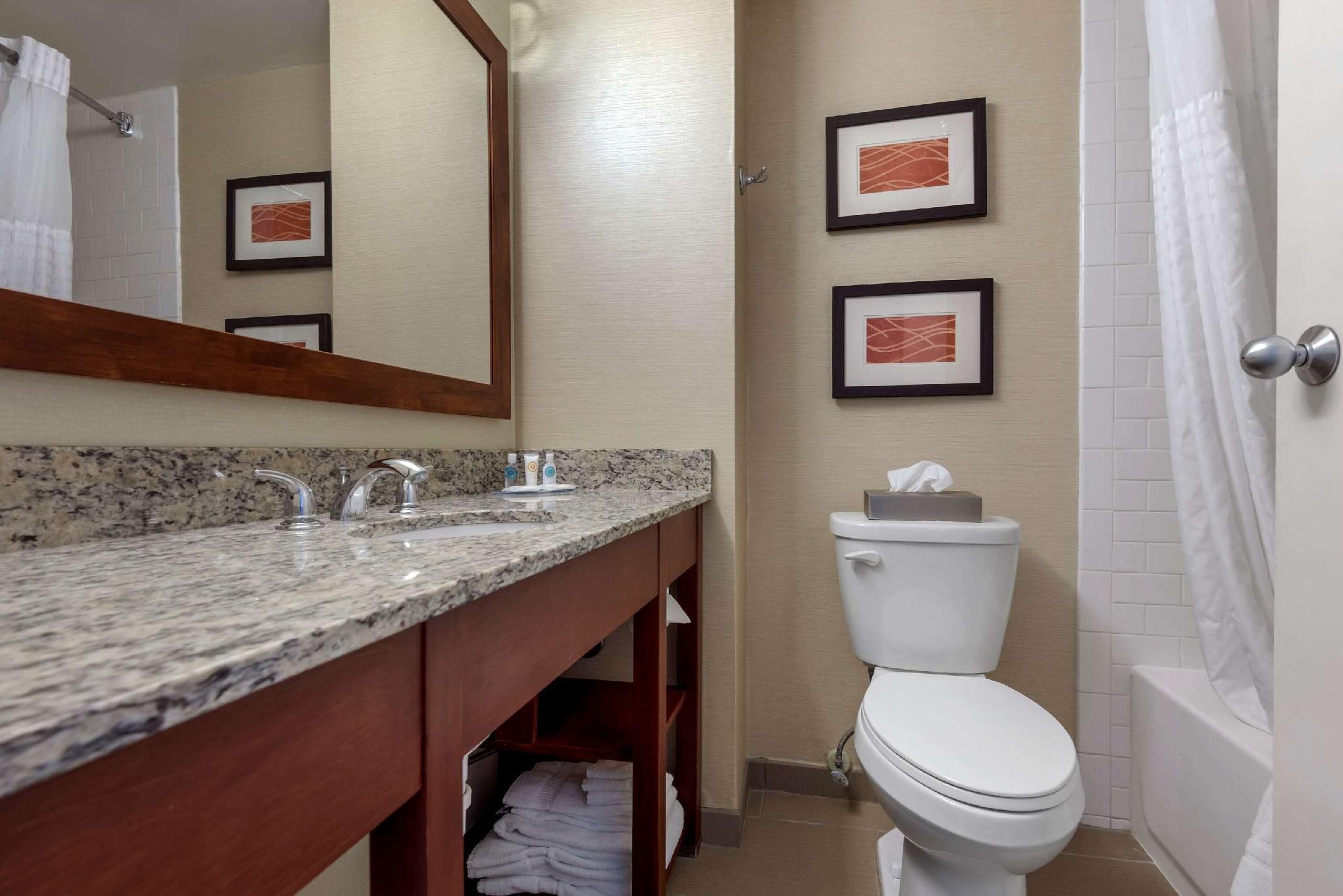 undefined Comfort Inn The Pointe 6
