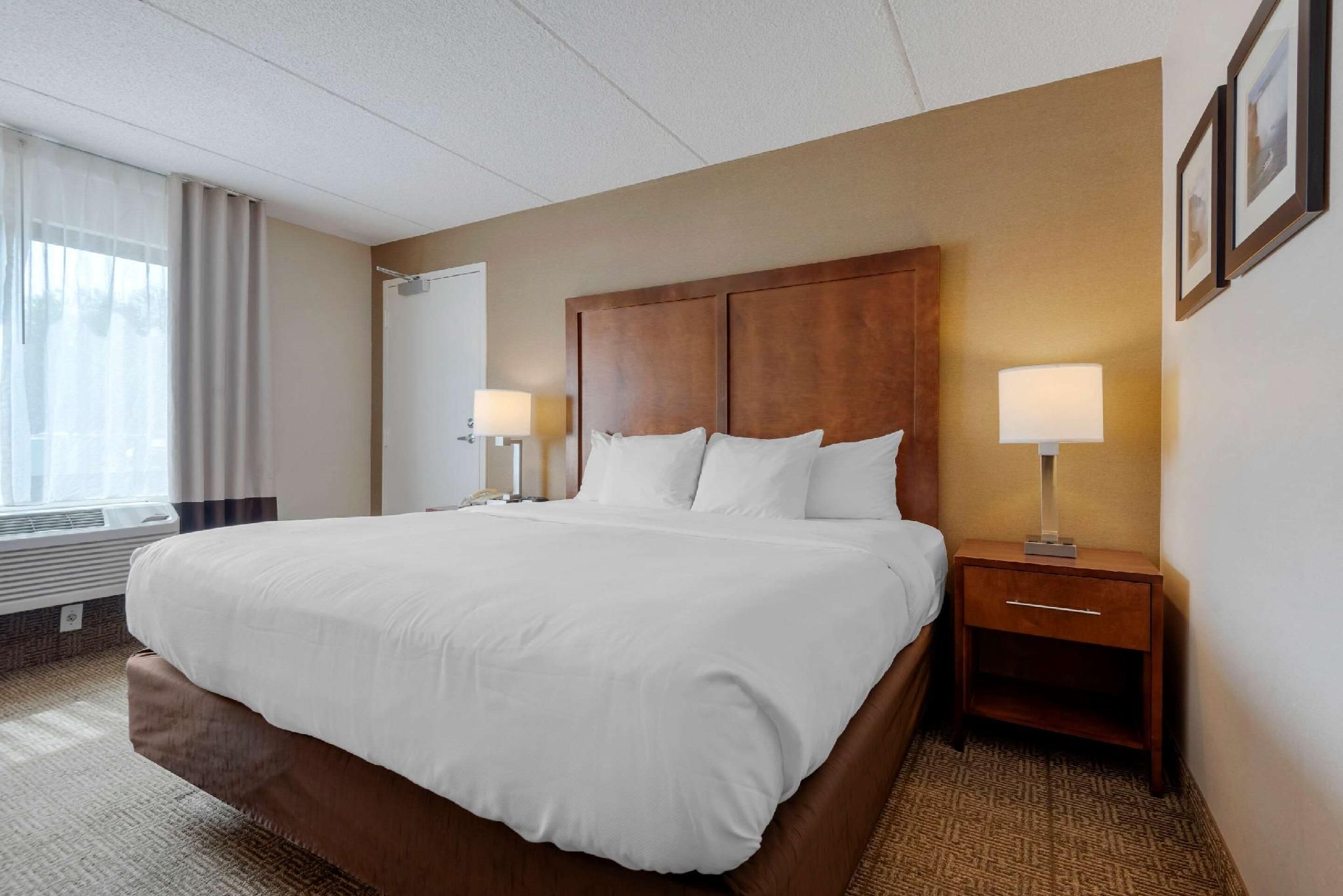 1 King Bed, Non-smoking, Accessible