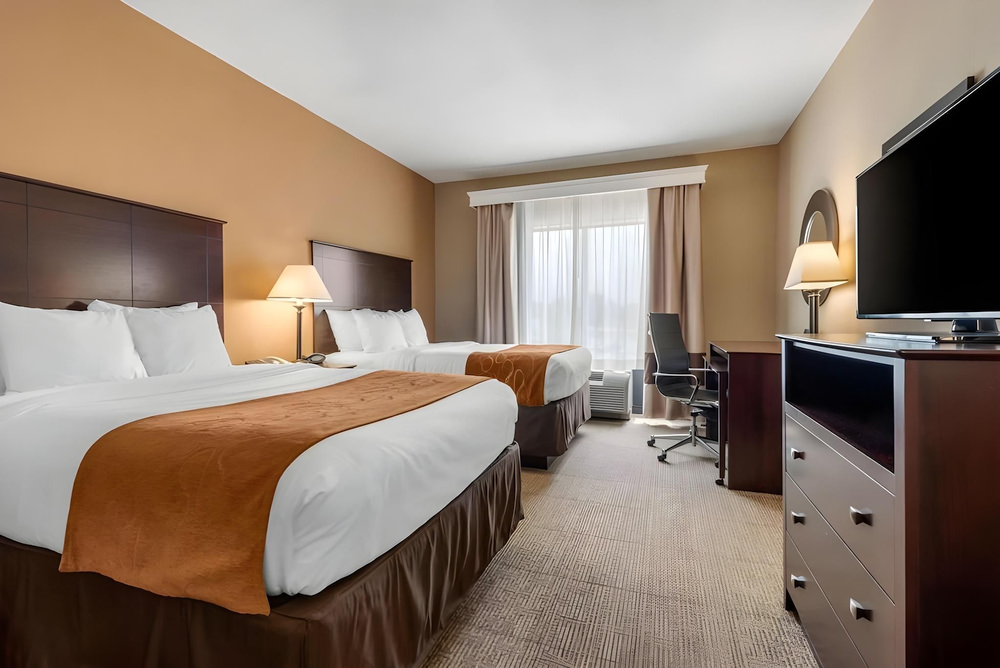 1 Bedroom Suite