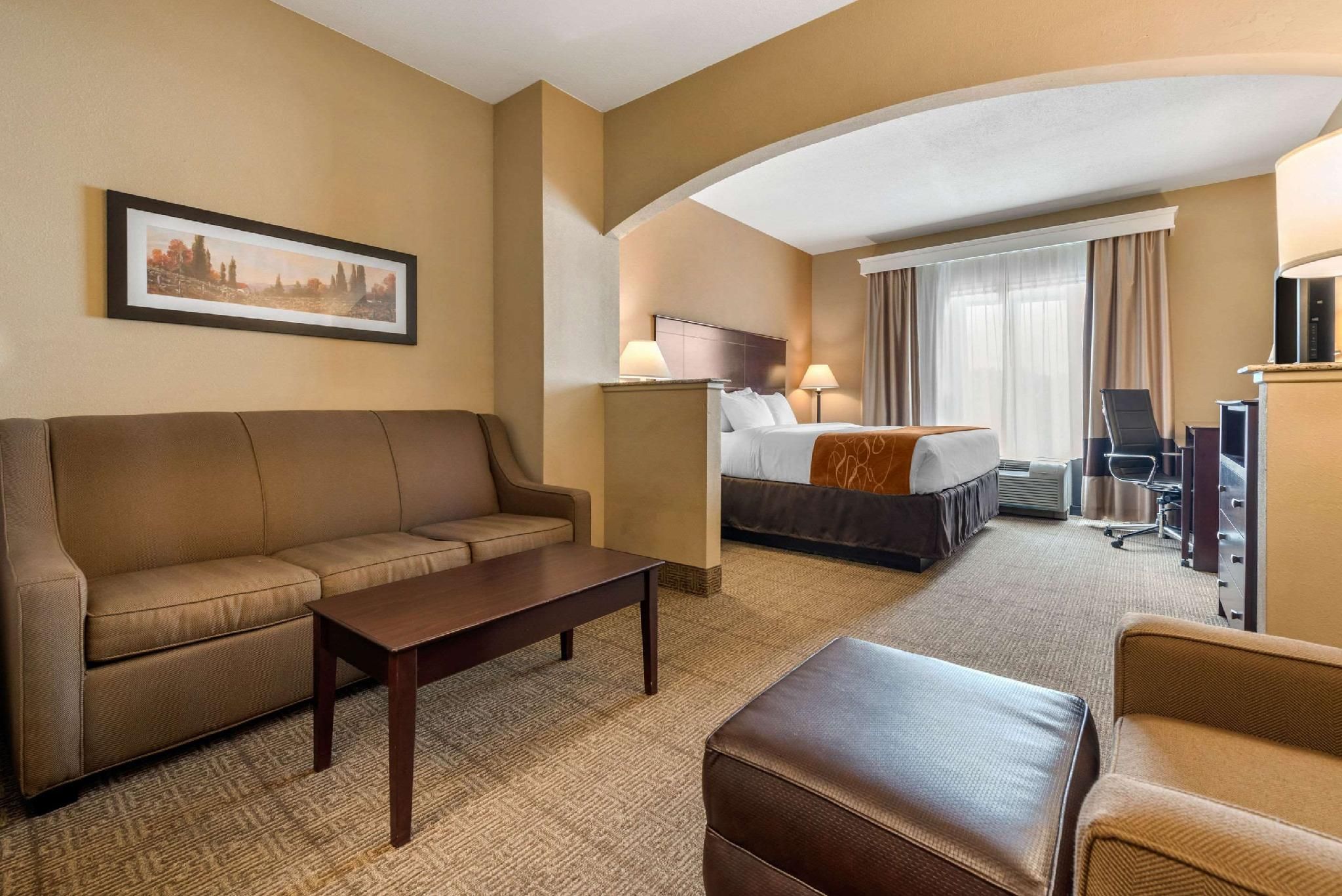 1 King Bed, Suite, Nonsmoking, Accessible