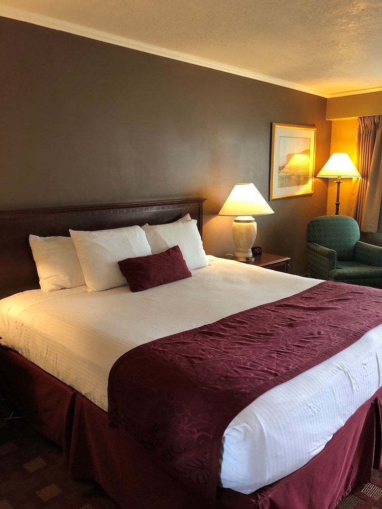 Deluxe Studio Suite, 1 King Bed, Non Smoking