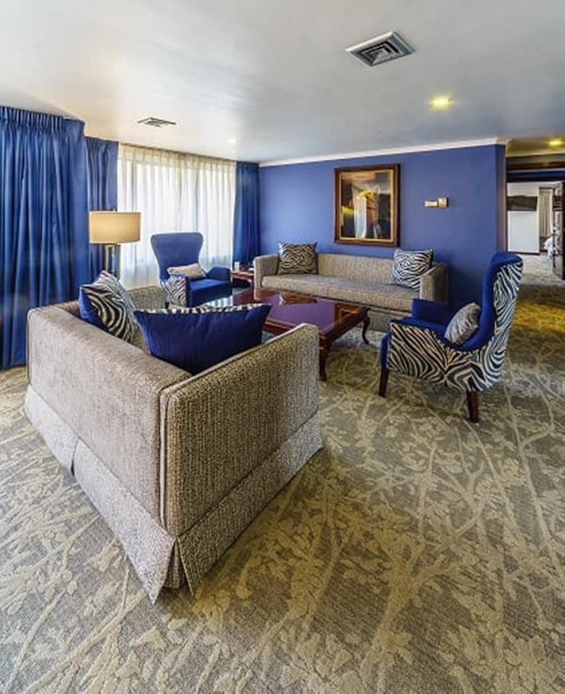 Ritz Apart Hotel Presidential Suite 8