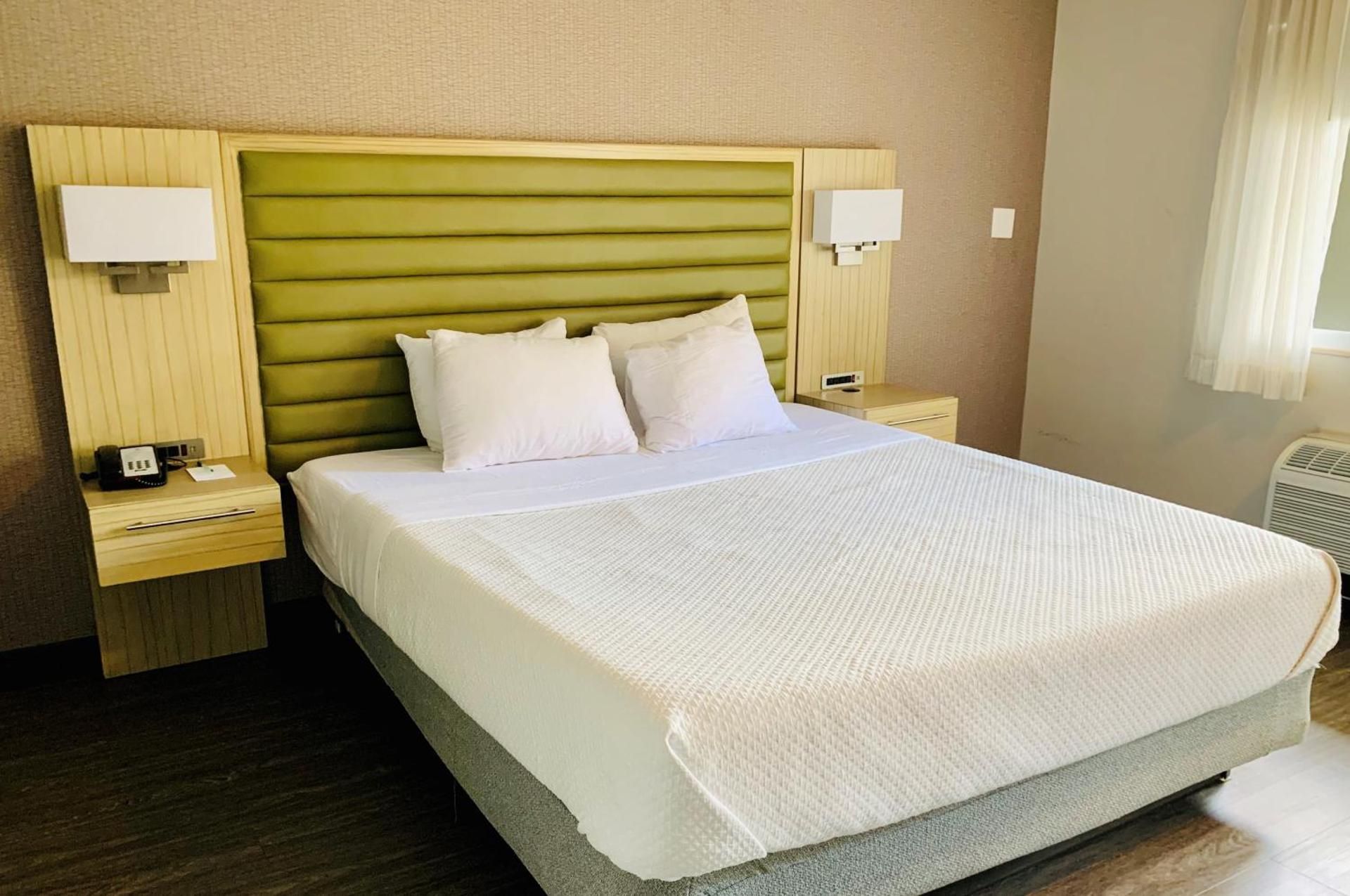 Single Room - Disability Access