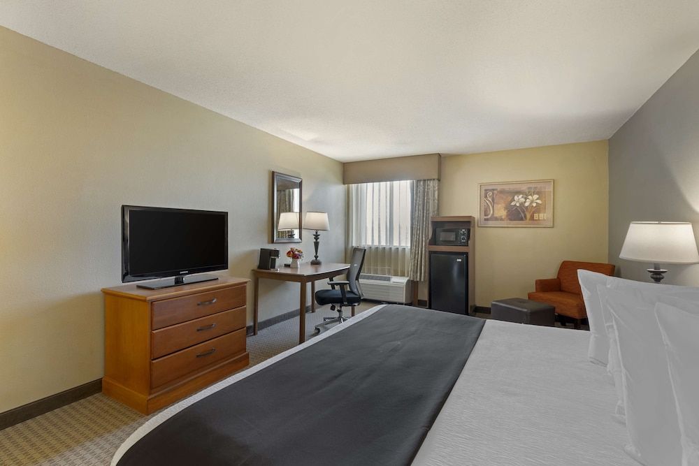 Standard Room, 1 King Bed, Non Smoking, Refrigerator & Microwave
