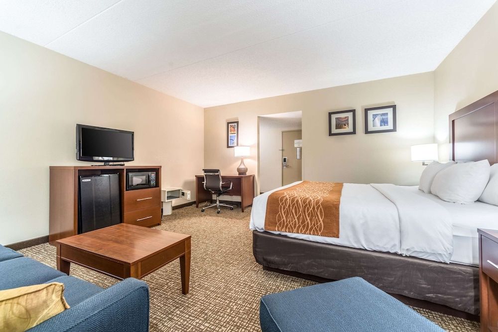 Suite, 1 King Bed with Sofa bed, Non Smoking