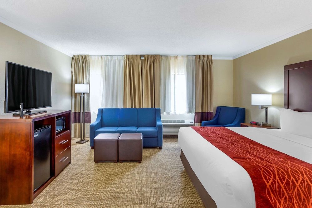 Suite, 1 King Bed with Sofa bed, Non Smoking