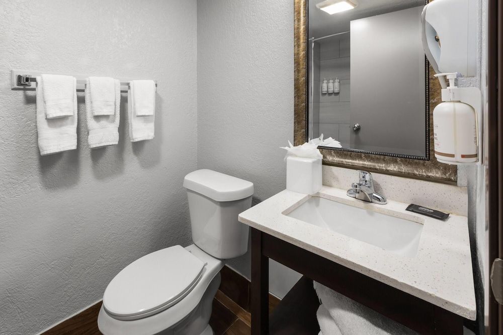 Baymont by Wyndham Downtown Detroit Room, 1 King Bed, Non Smoking 12