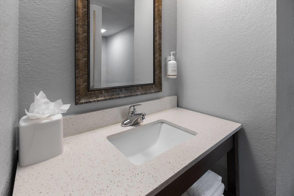 Baymont by Wyndham Downtown Detroit Room, 1 King Bed, Non Smoking 14