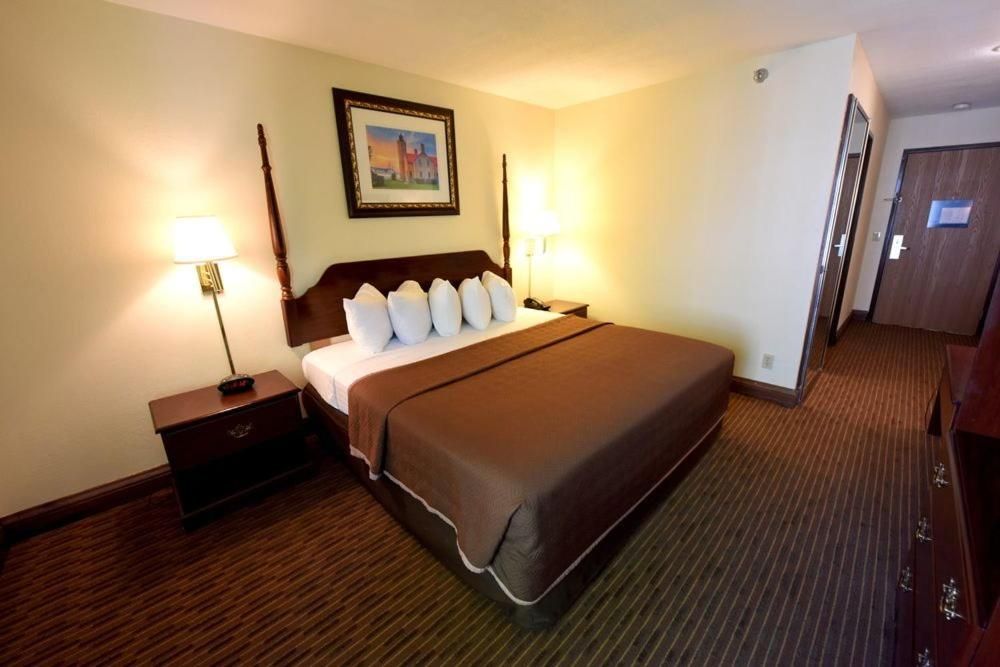 Single Room - Disability Access