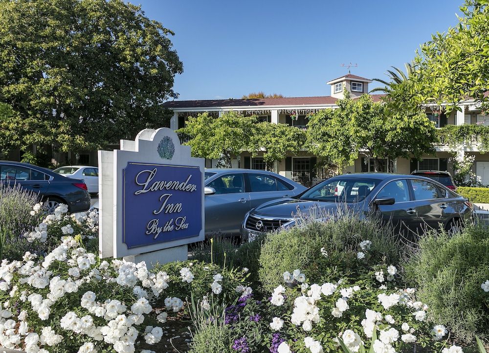 undefined Lavender Inn by the Sea 2