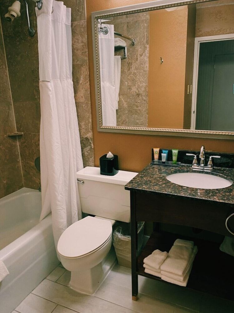 Suite, 1 King Bed (Extended)