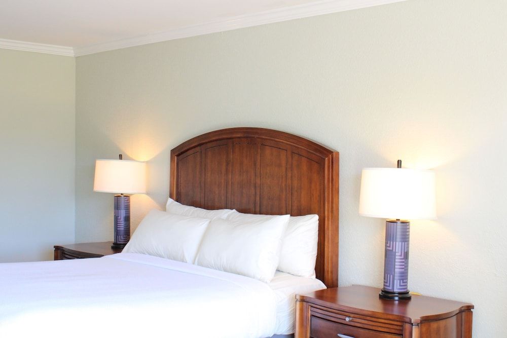 Handicap Accessible, 1 Queen Bed, Courtyard View