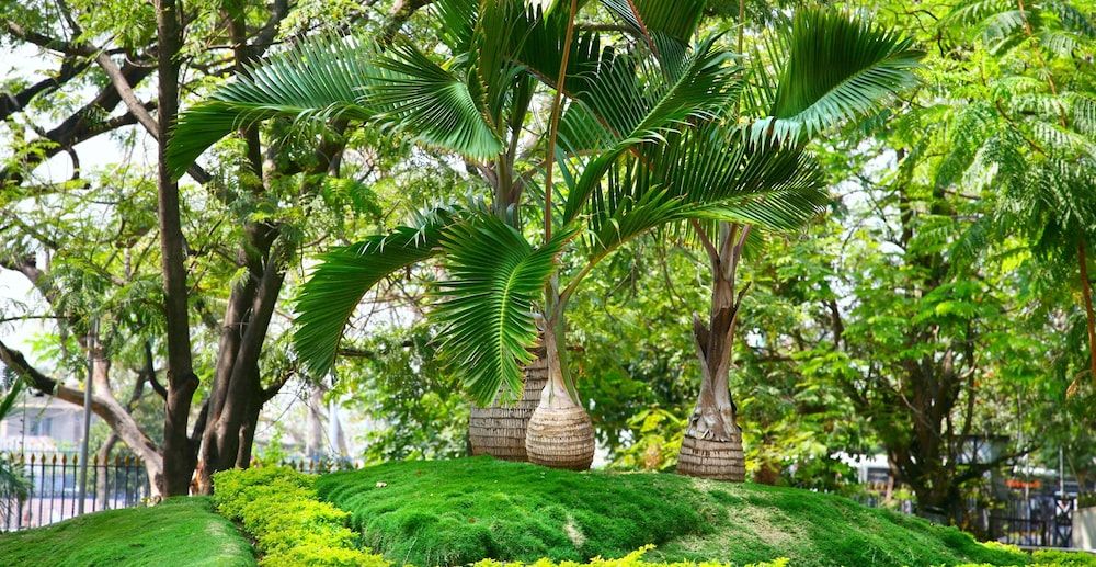 undefined Hotel Balaji Residency 8