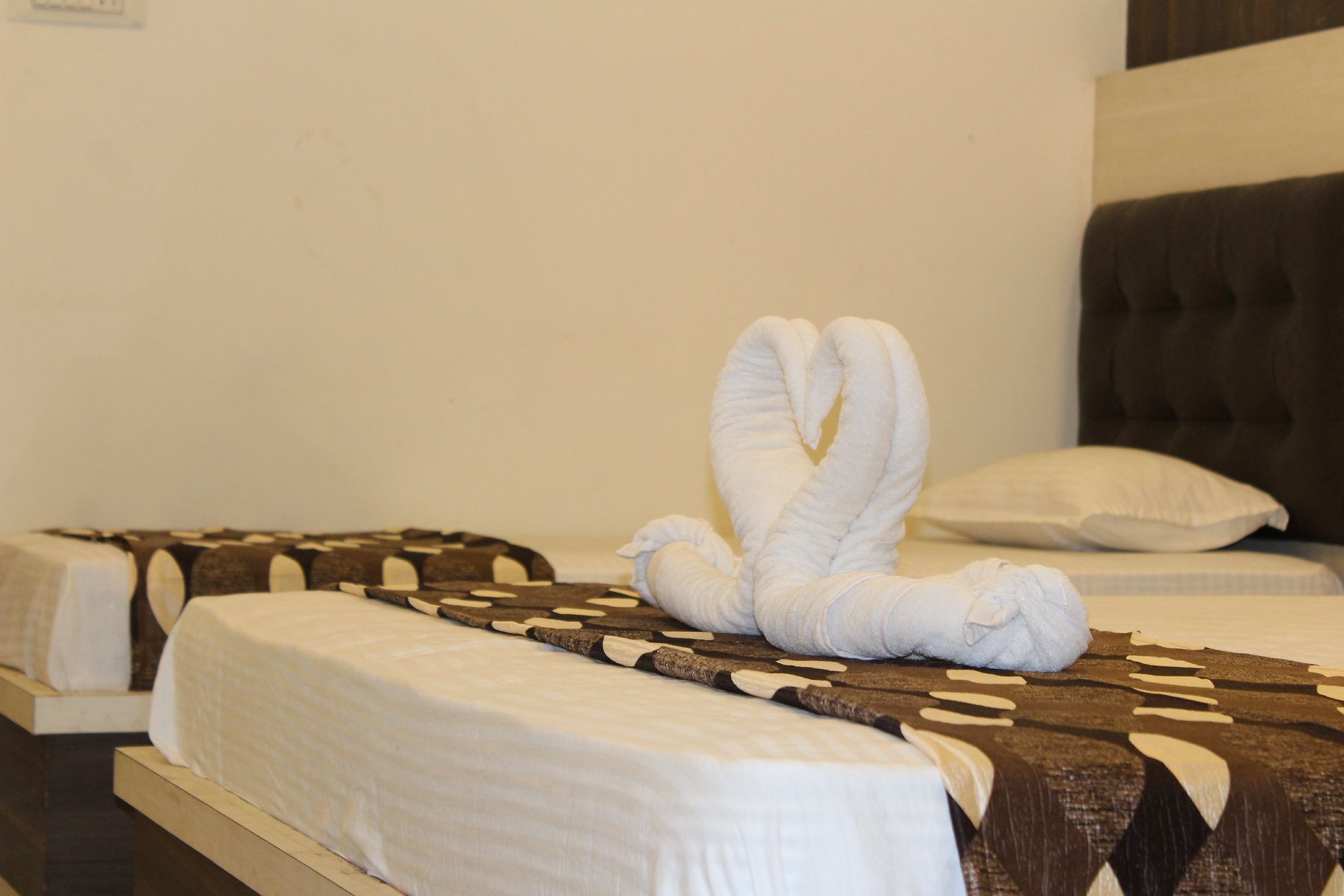 Shri shiva palace Classic 16