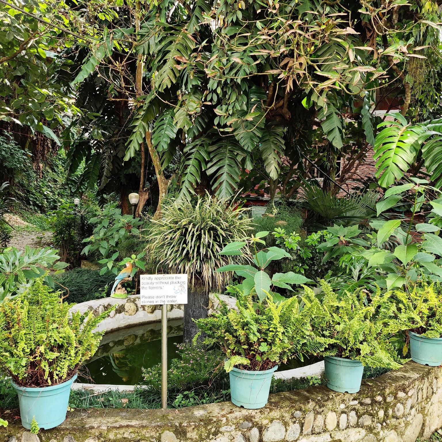 White Conch Residency garden