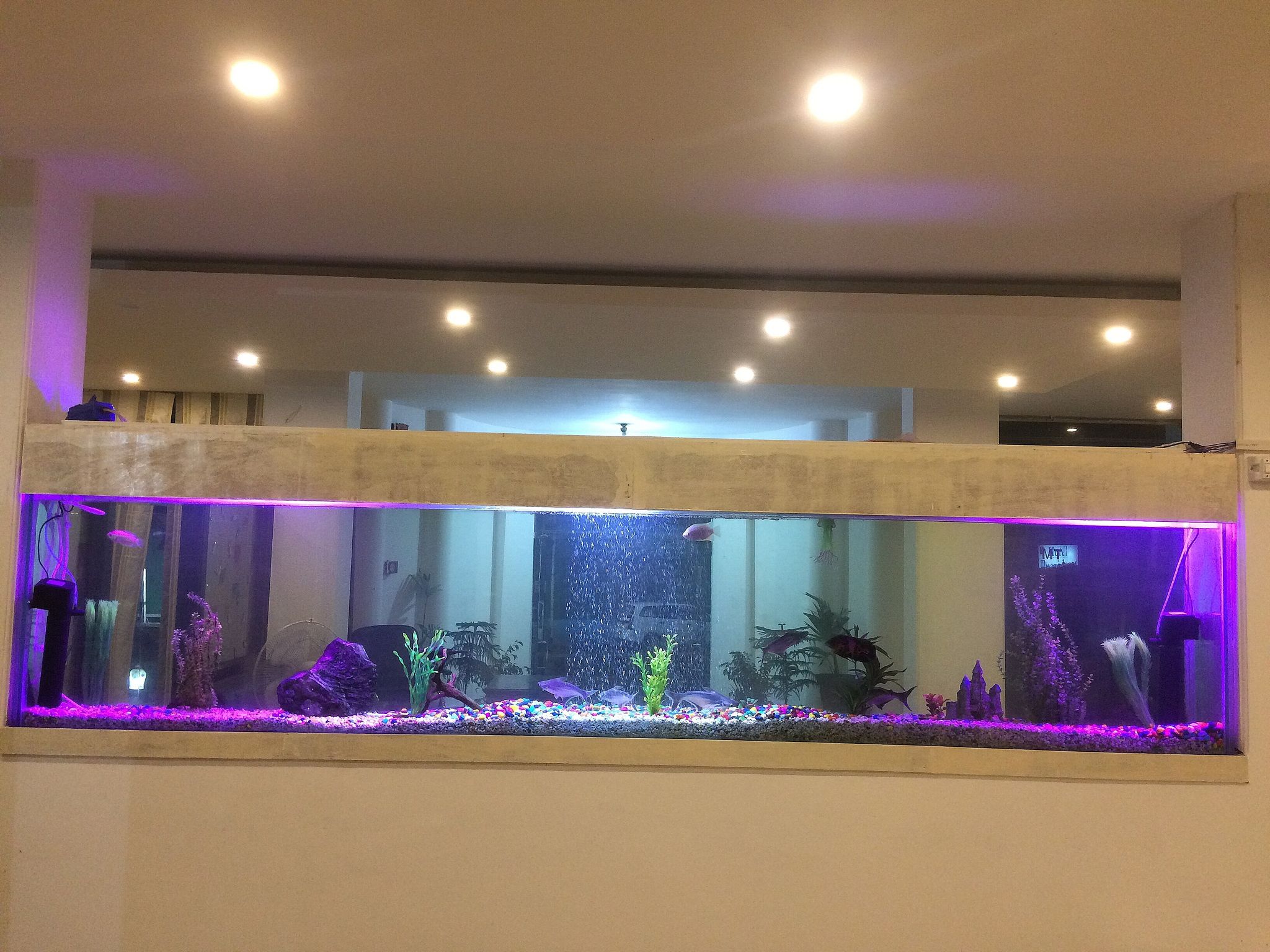 undefined Hotel President 6