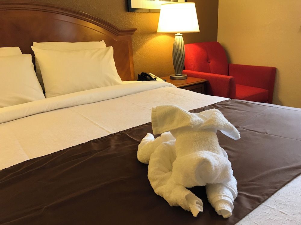 Americas Best Value Inn Lynnwood Seattle Room, 1 King Bed, Non Smoking 5