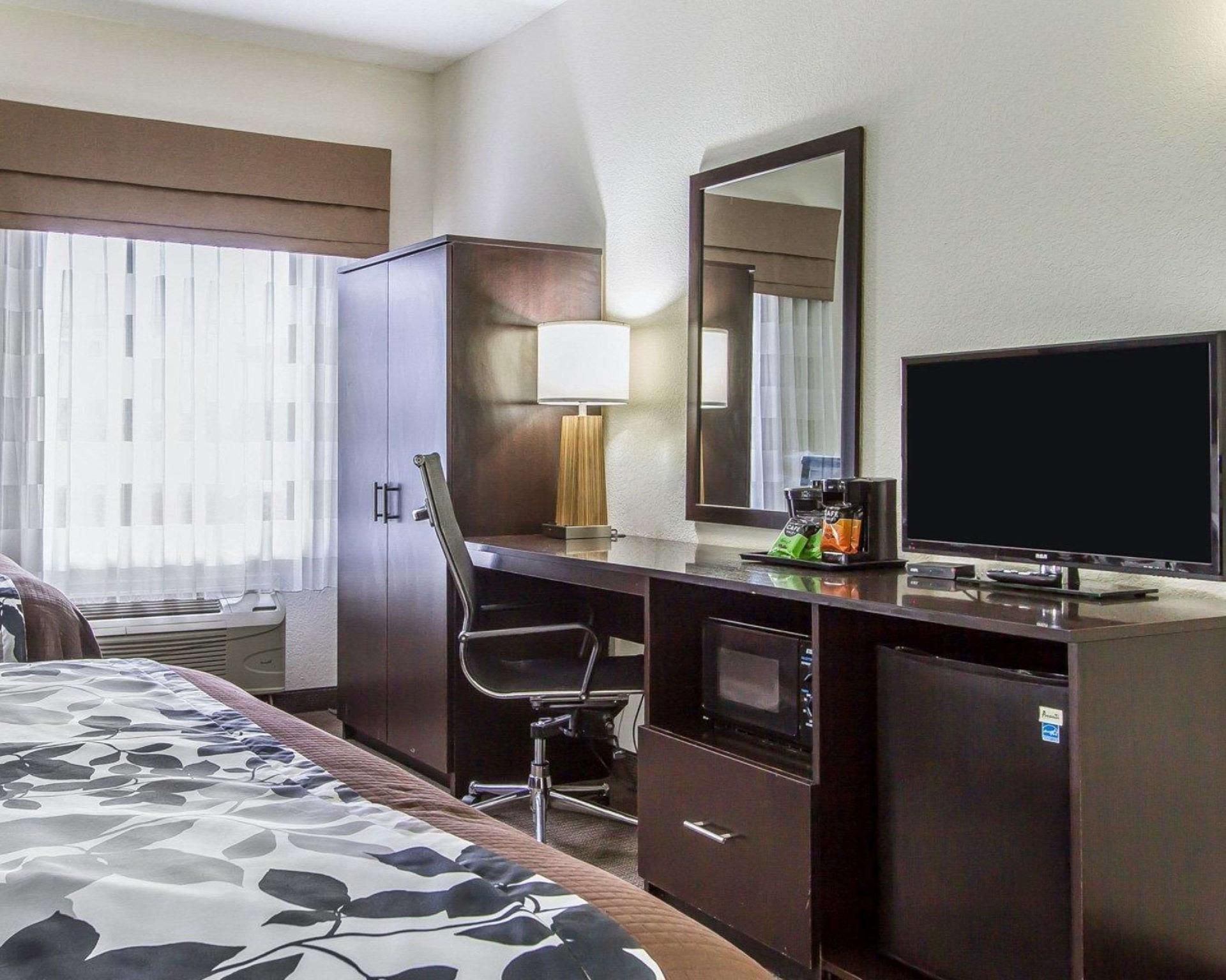 1 Queen Bed, No Smoking Accessible Room