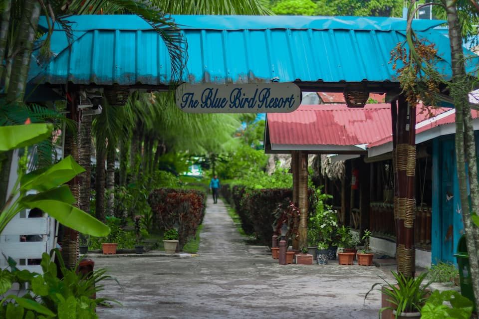 undefined Blue Bird Resort 4