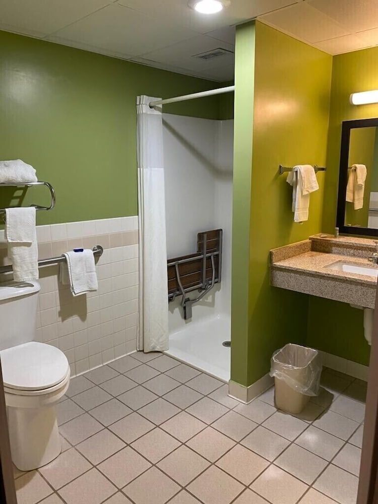 American Inn and Suites Queen Handicap 4